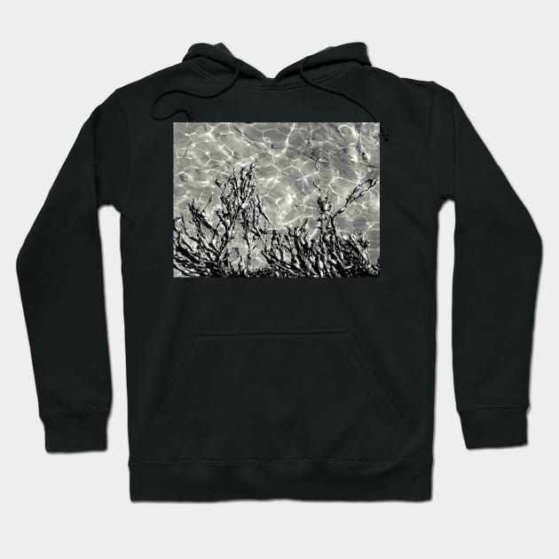 Seaweed Abstract Hoodie by AlexaZari